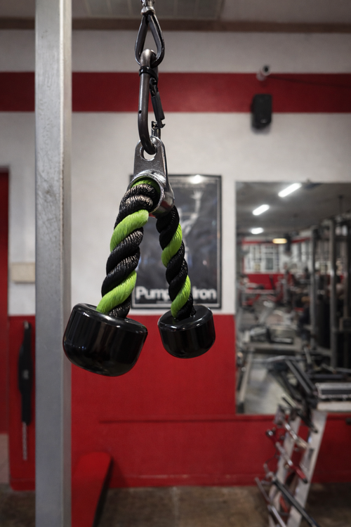 Dino Ropes- Heavy Duty Tricep Rope Attachment